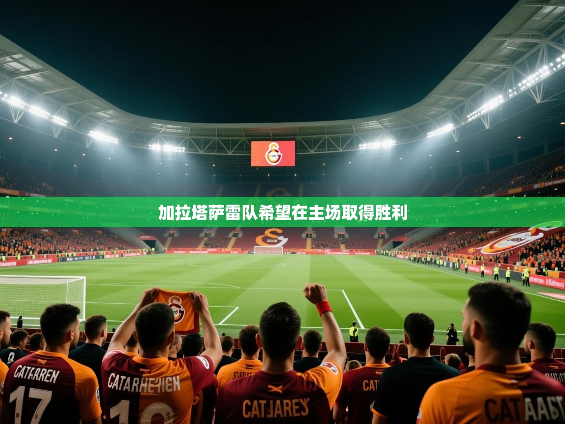 加拉塔萨雷队希望在主场取得胜利  第2张