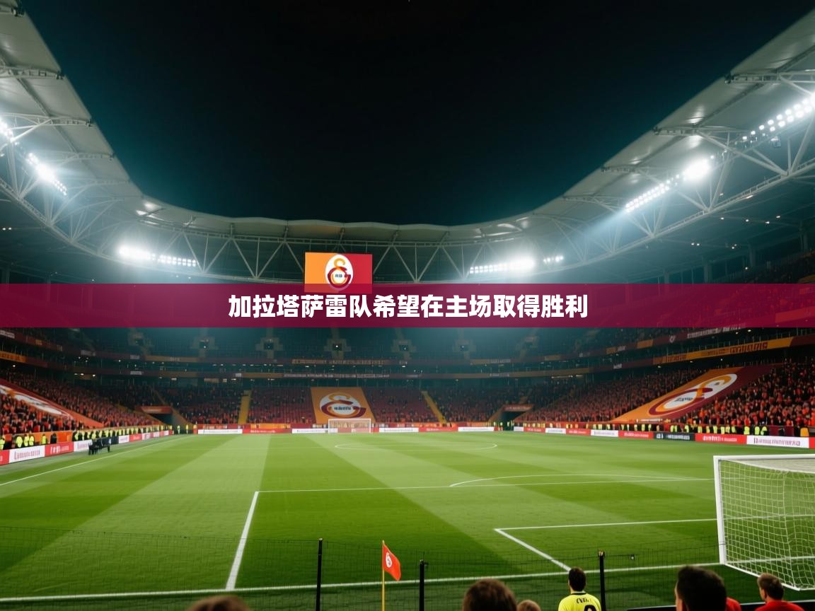 加拉塔萨雷队希望在主场取得胜利  第1张